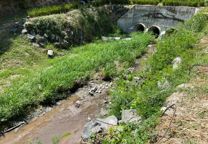 La diligencia surgió luego de denuncias difundidas en redes sociales sobre una obra realizada en el cauce de una fuente hídrica y una presunta contaminación provocada por aguas residuales.