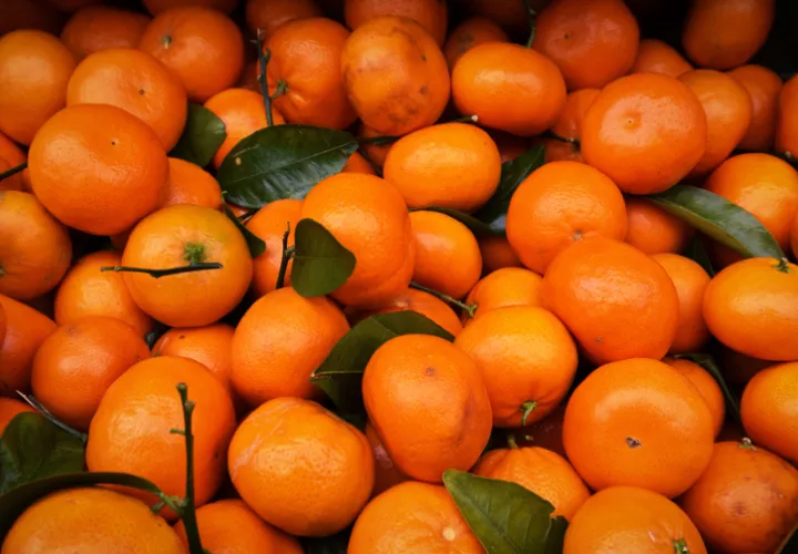 Según las autoridades del país suramericano, Panamá representa un mercado de "gran potencial" para la oferta agroalimentaria argentina. Foto: Pexels