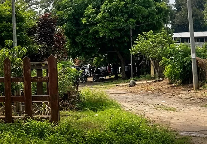 Unidades Linces se presentaron al sector donde efectuaron varios allanamientos.  /  Captura de video c4_noticias507_ mejorada con IA