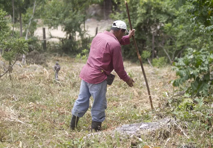 Las autoridades trabajan para lograr asistencia alimentaria, apoyo a los medios de vida agrícolas y ganaderos, fortalecimiento de los sistemas de agua, vigilancia y prevención de enfermedades, además de medidas de nutrición dirigidas a niños, mujeres embarazadas y lactantes.  Foto. EFE