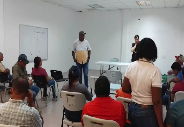 En la provincia de Colón, la actividad cafetalera se concentra principalmente en los distritos de Chagres y Donoso, así como en las comunidades del área del Lago Gatún y el sector de la Transístmica.
