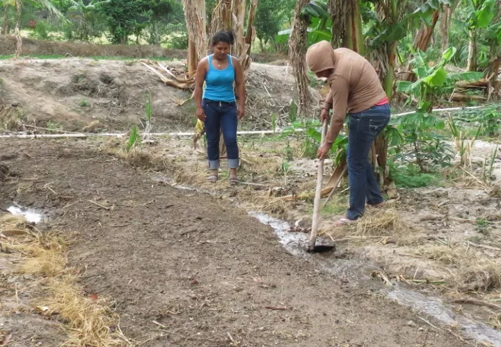 Con este programa, el MIDA y Wetlands International promueven prácticas sostenibles para resguardar los sistemas de producción y la seguridad alimentaria familiar.