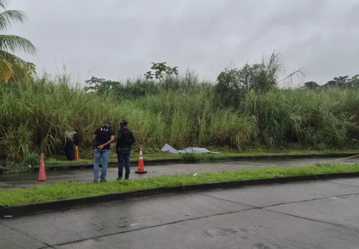 El cuerpo se encontró entre la vegetación, a pocos metros de la carretera.