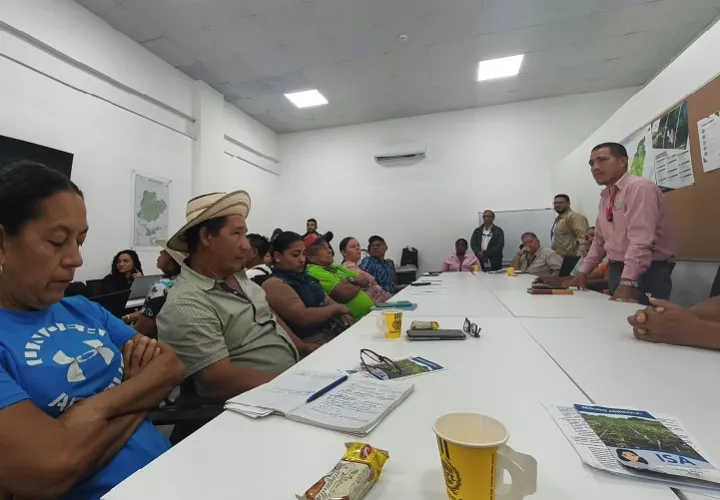 Durante las intervenciones se enfatizó la necesidad de aumentar la producción nacional, toda vez que la demanda actual de la industria supera la oferta local. Foto. Cortesía