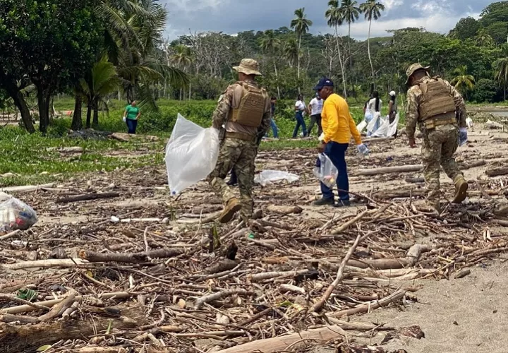 Las autoridades y agrupaciones participantes destacaron la importancia de mantener estas jornadas para mitigar el impacto del plástico en las especies marinas. Foto. Cortesía