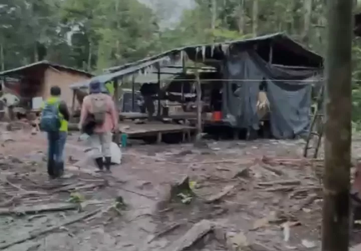 Durante las diligencias, personal del Ministerio Público, junto con funcionarios del Ministerio de Ambiente y del Ministerio de Comercio e Industrias (MICI), encontró indicios de tala de árboles, degradación de los recursos naturales y contaminación con desechos.