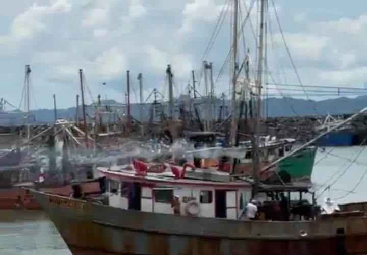 : Panamá reanudó la pesca de camarón este 11 de octubre tras 41 días de veda. La temporada estará abierta hasta el 31 de enero de 2027.
