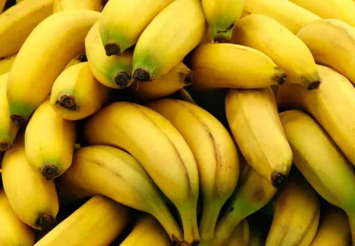 El banano figura entre los productos que Panamá coloca en los mercados internacionales. Foto: Cortesía