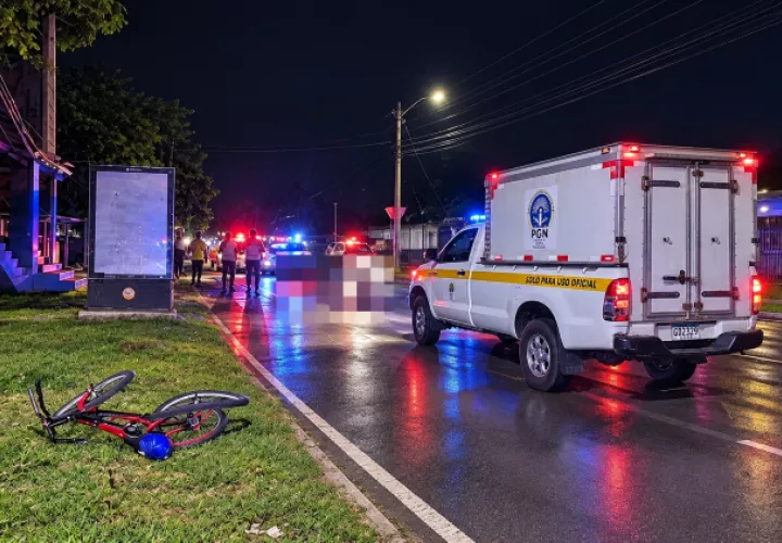 Seis de los fallecimientos de ese año en accidentes viales fueron por casos de atropello.
