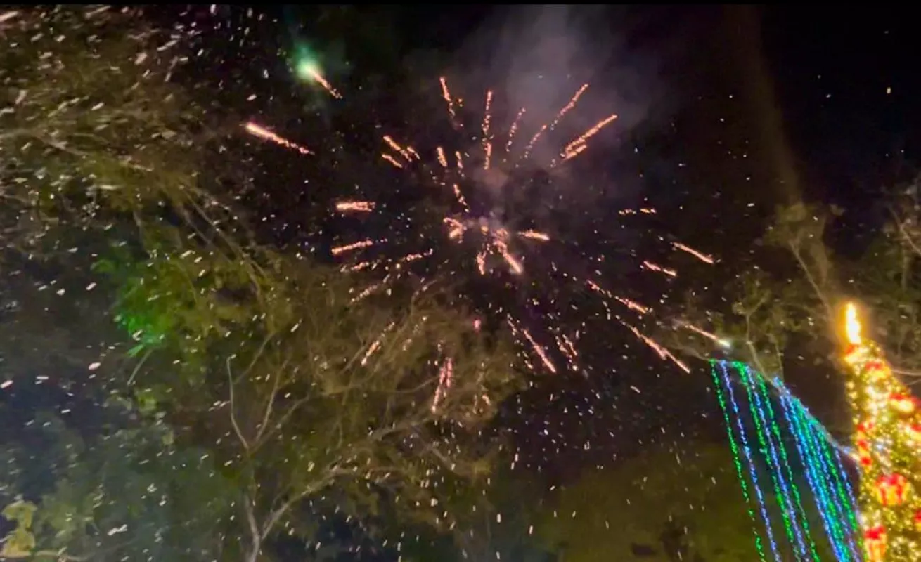 Magia, luces y sonrisas: así arrancó la Navidad en Juan Díaz