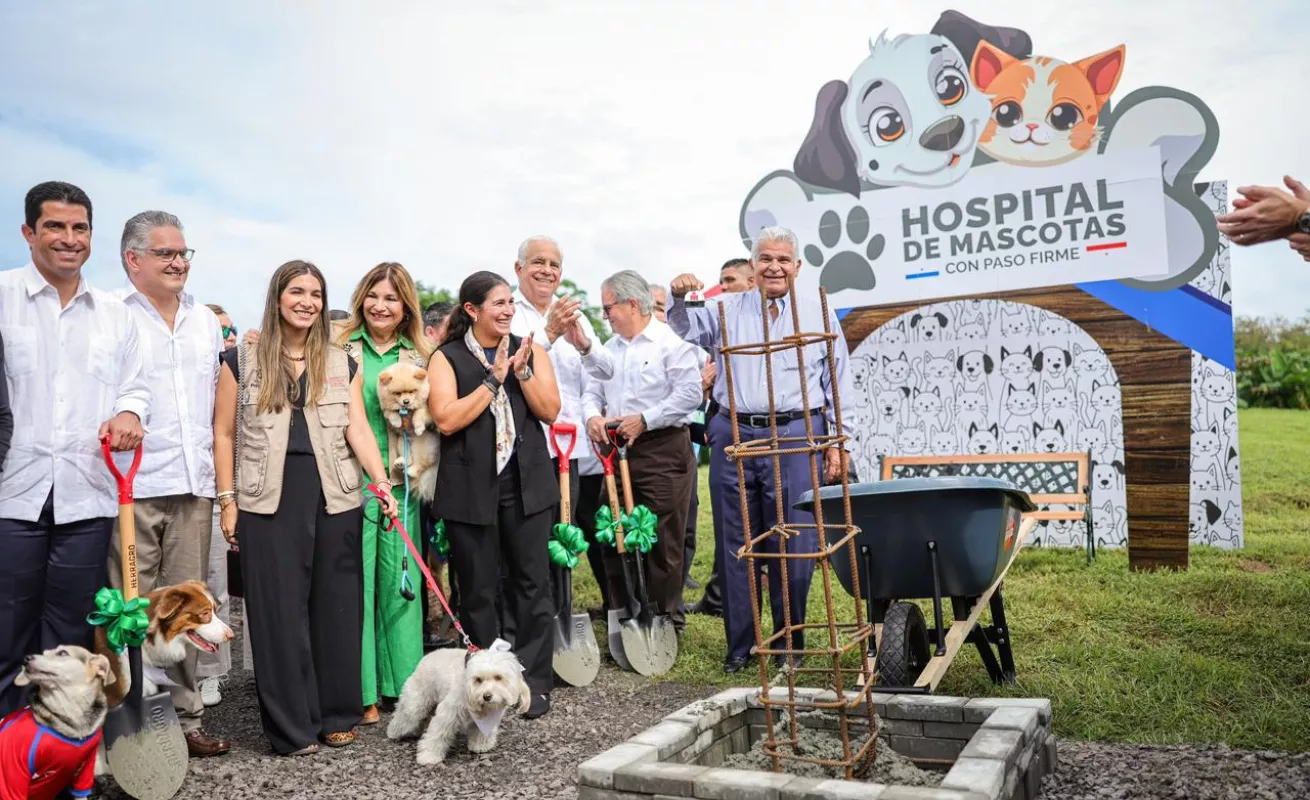 Cámara lista, perros felices y pala en mano. Arranca la obra para los firus