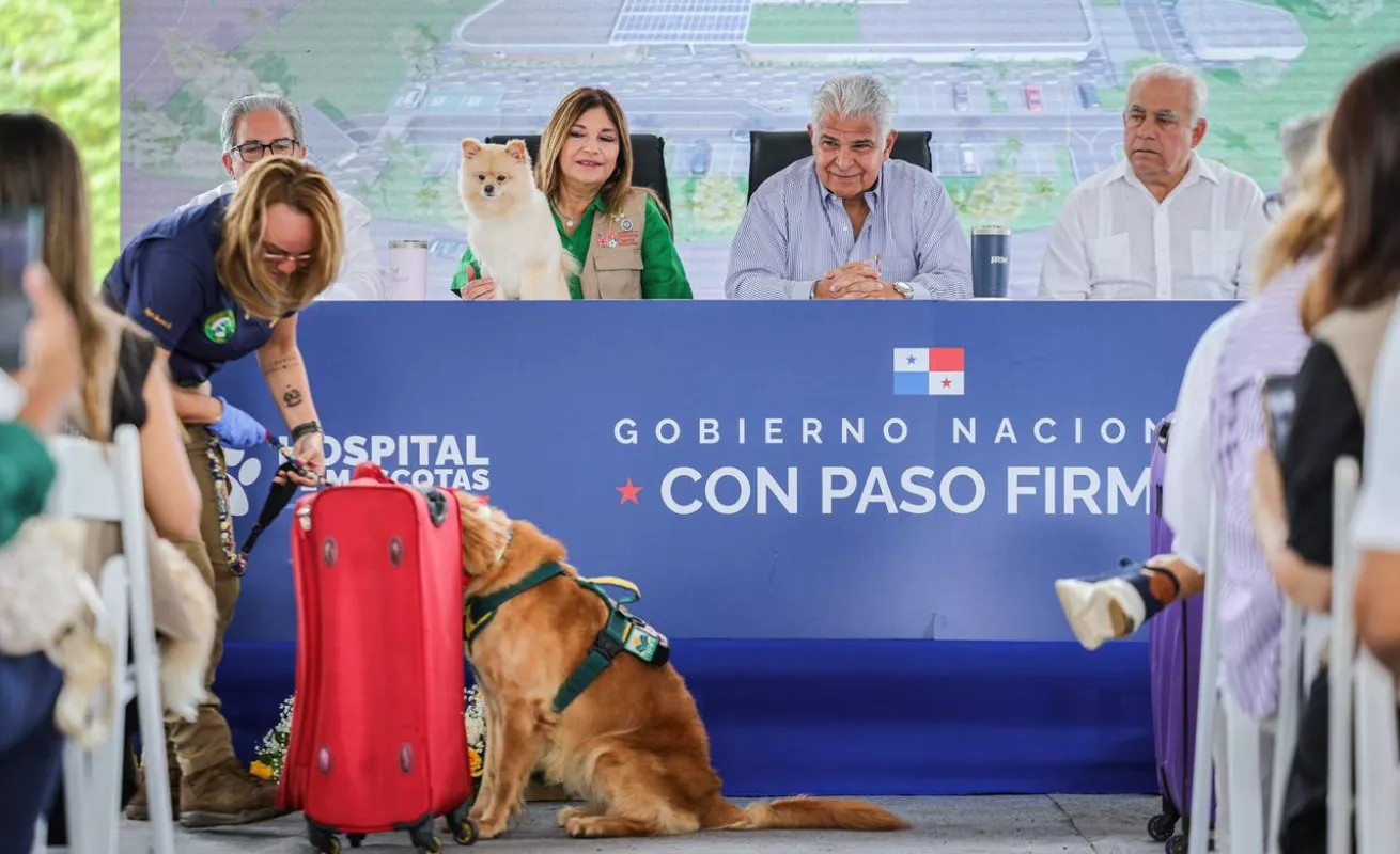 Cámara lista, perros felices y pala en mano. Arranca la obra para los firus