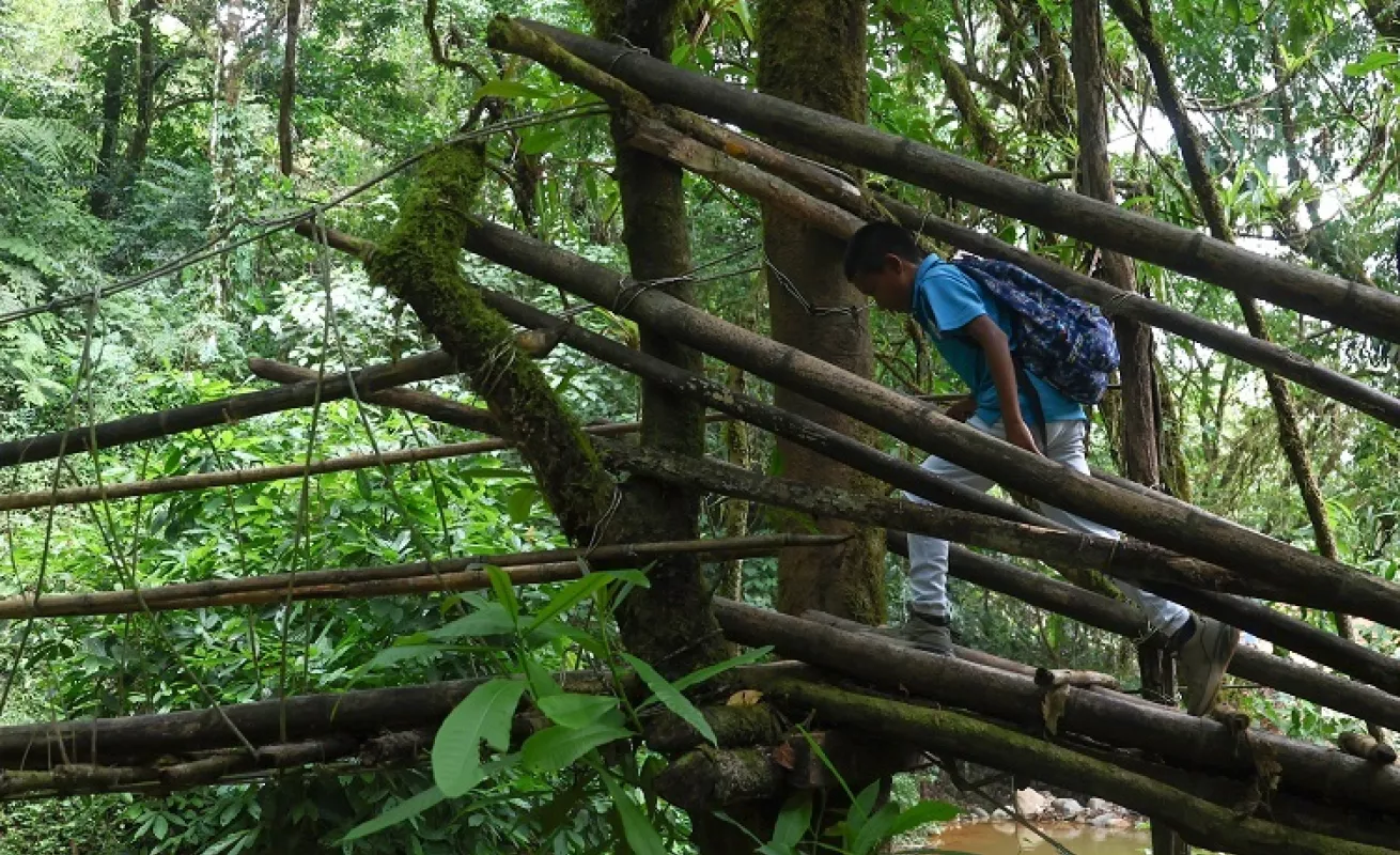 Niños de la Comarca 