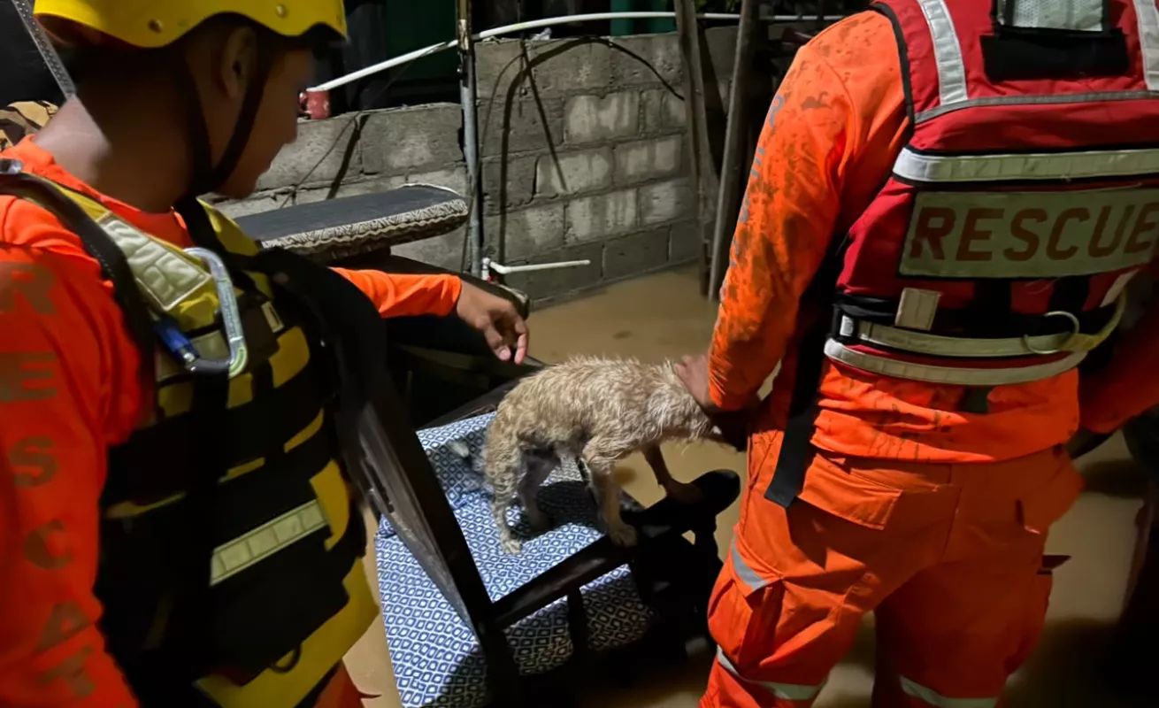 ¡Se ahogan en Almirante! Más de 300 casas bajo el agua