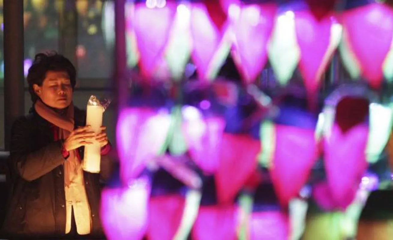 Galería del día 31/12/2014