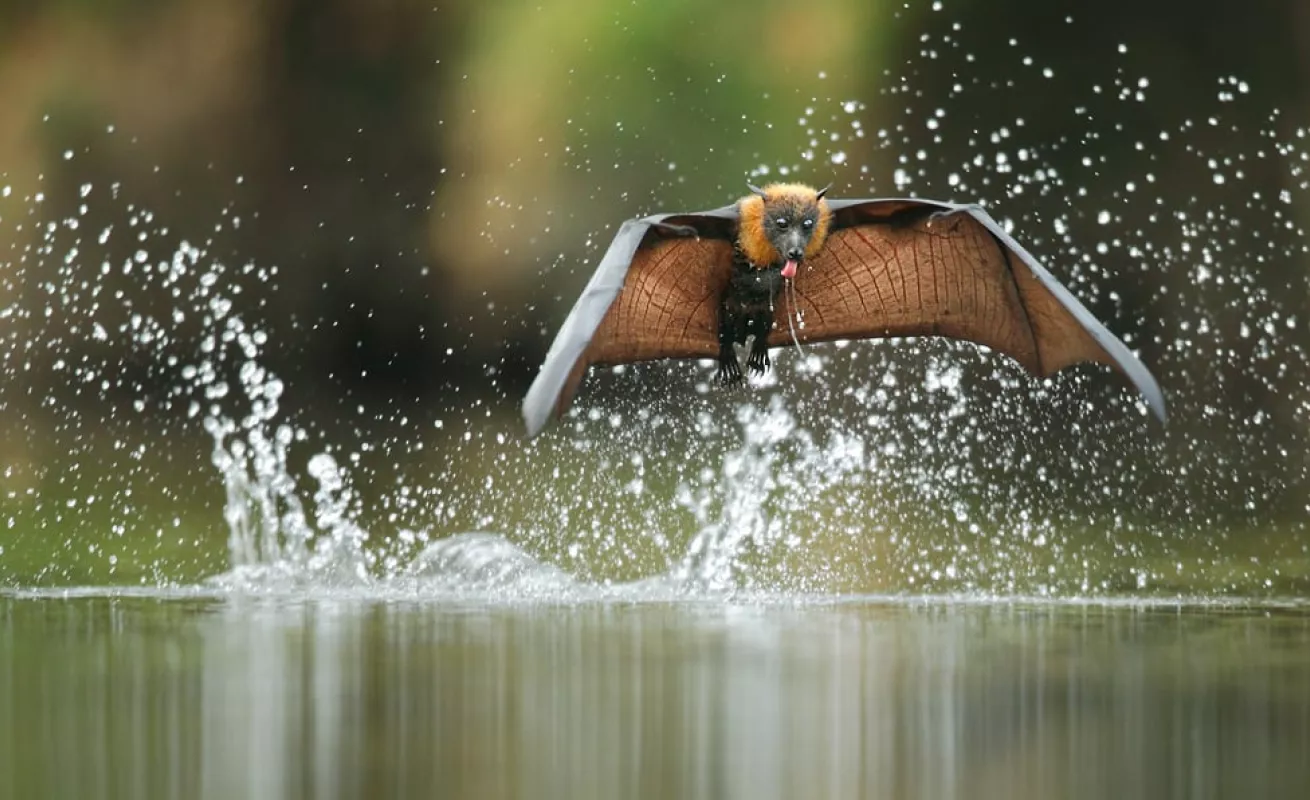 Galería 14 de enero