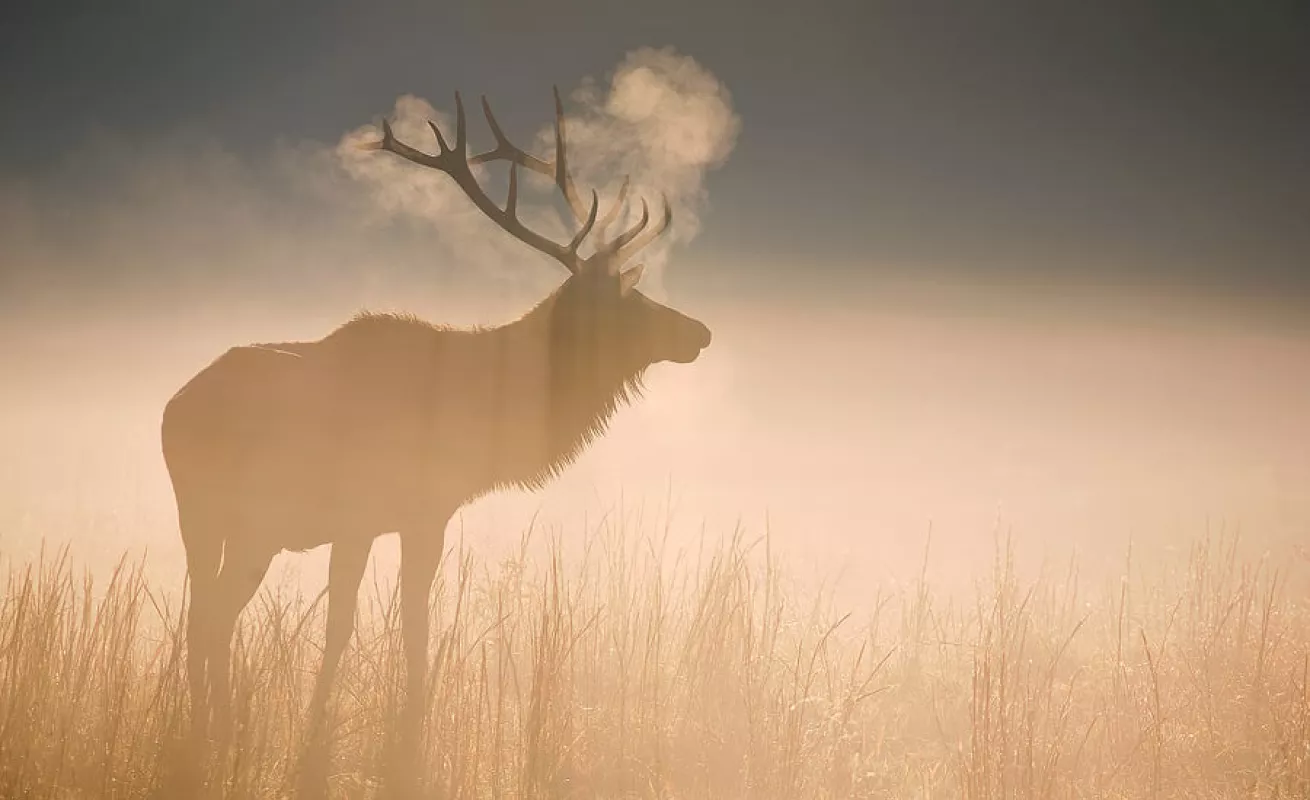 Galería 14 de enero