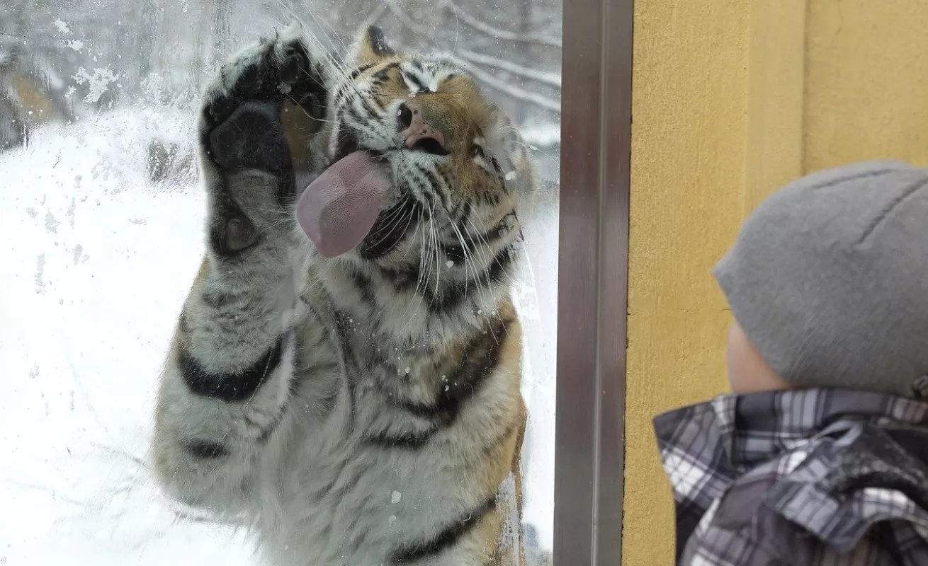 Galería 14 de enero