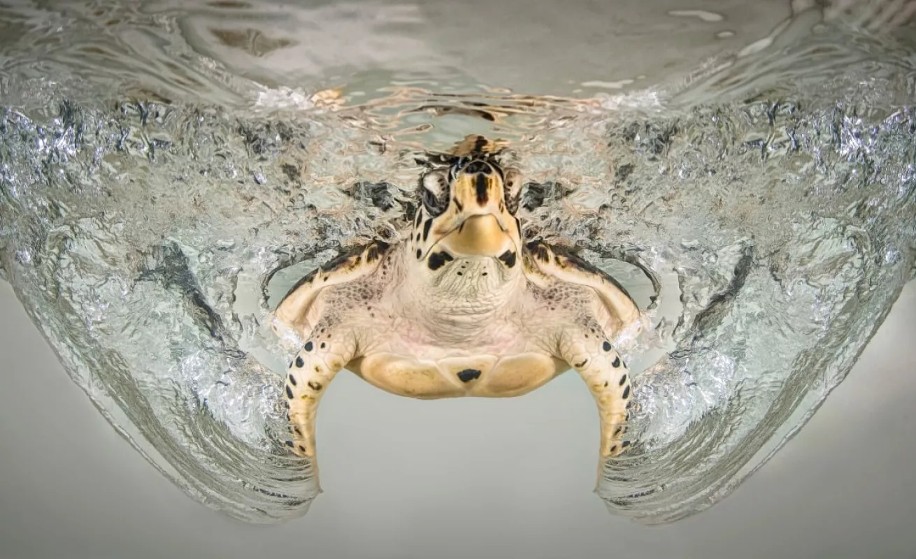 Galería 14 de enero