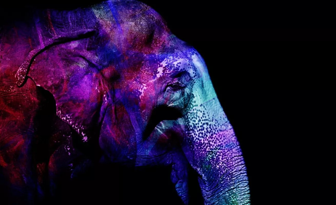 Galería 14 de enero