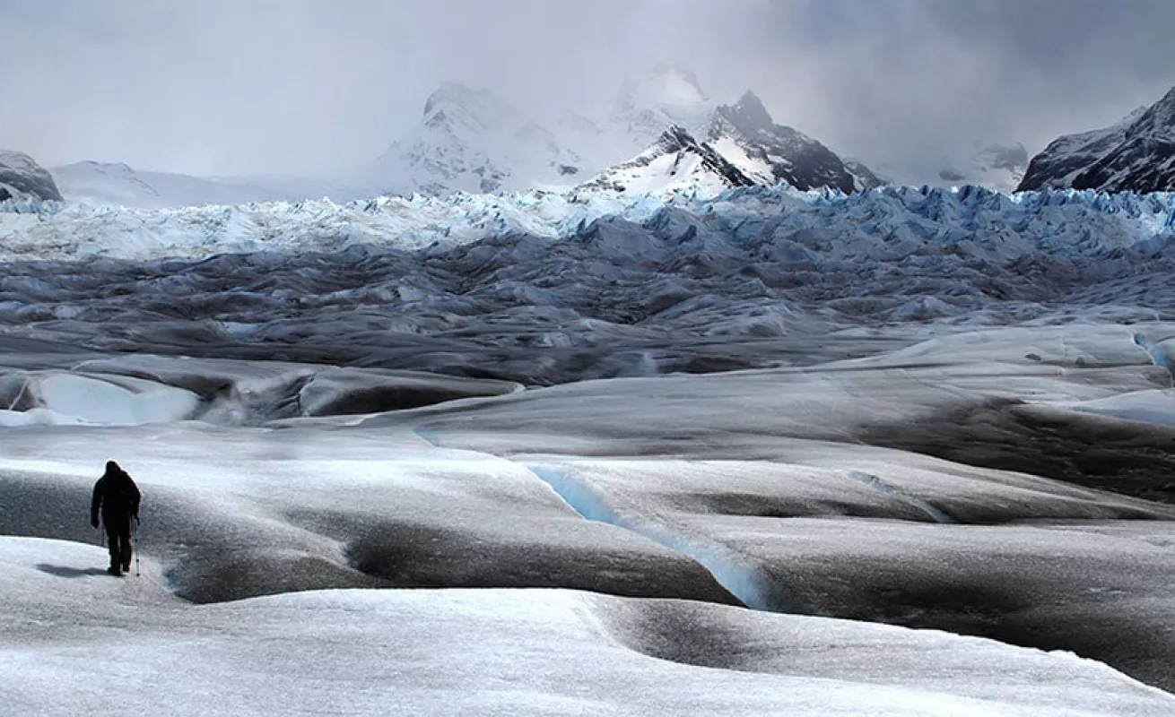 Fotos tomadas desde celulares