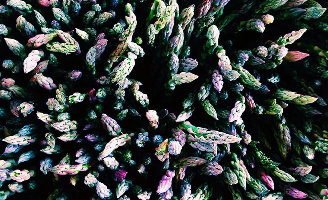 Fotos tomadas desde celulares