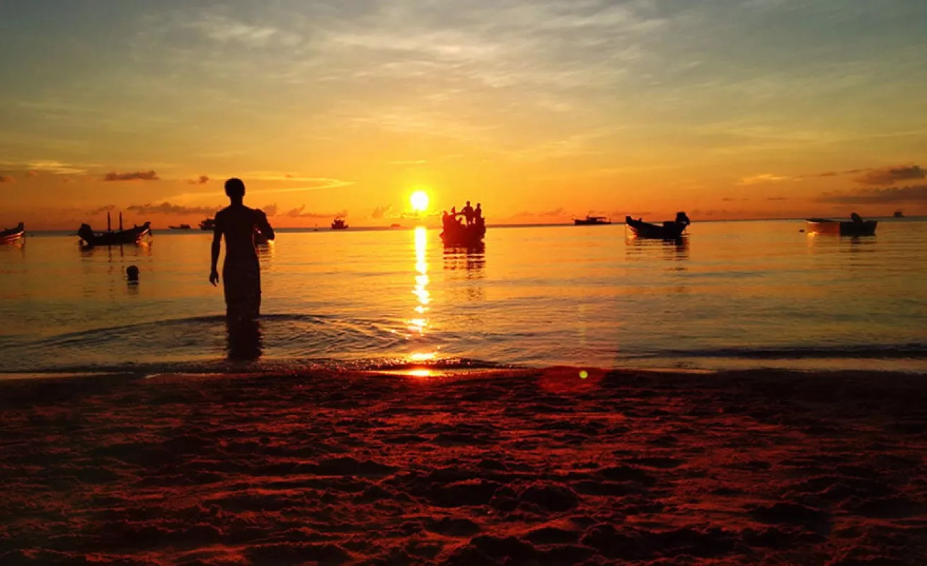 Fotos tomadas desde celulares