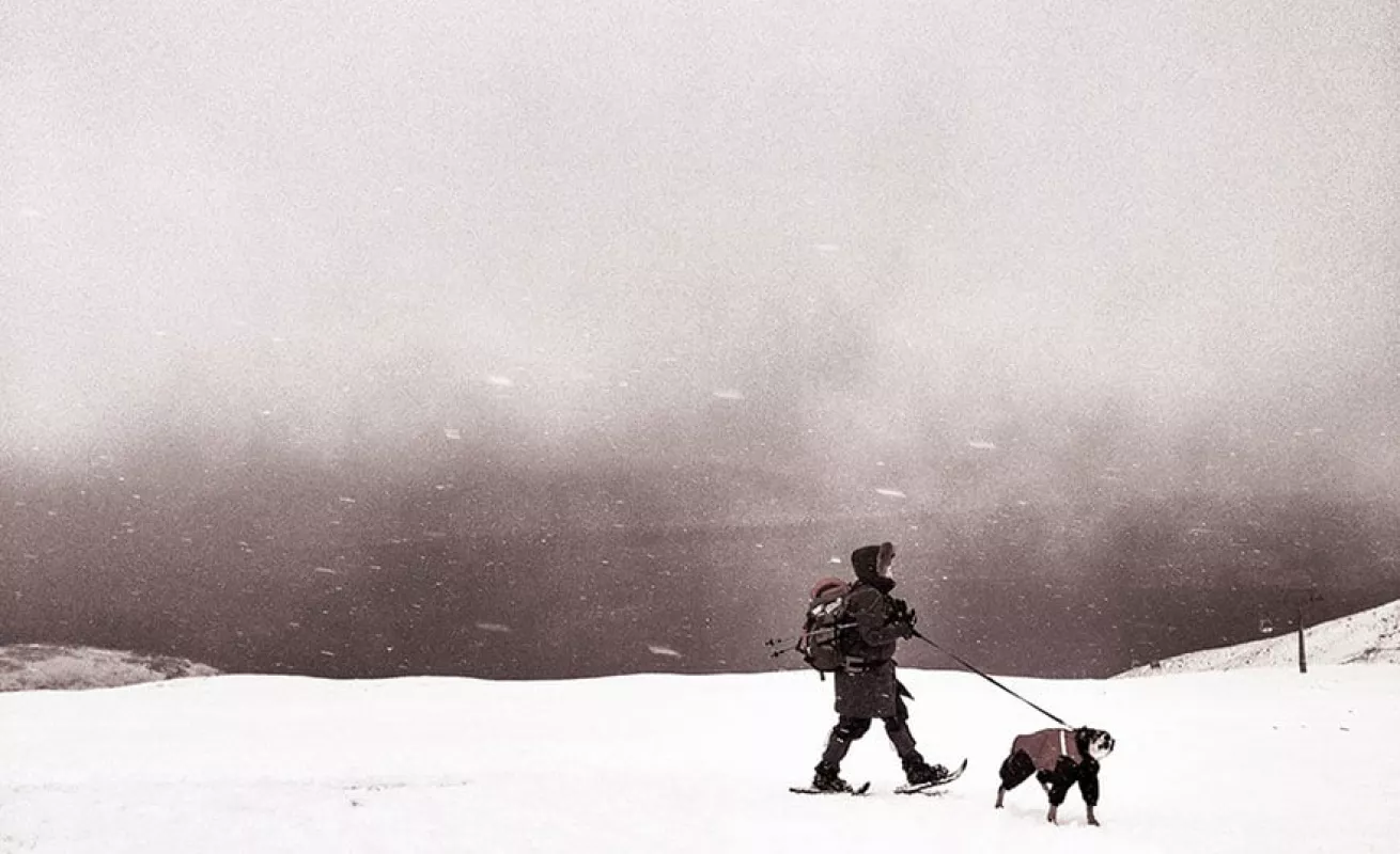 Fotos tomadas desde celulares