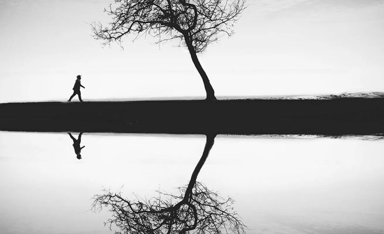 Fotos tomadas desde celulares