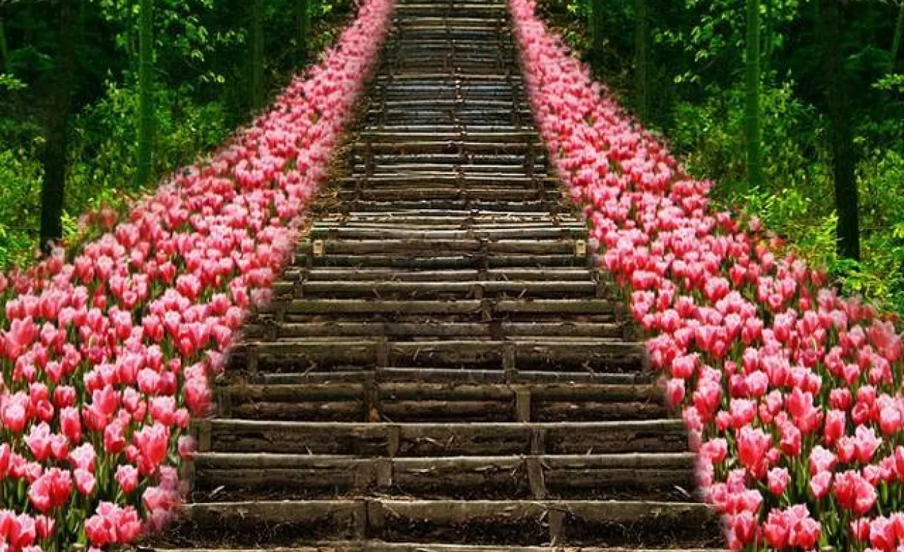 Galería de foto 30/01/2015