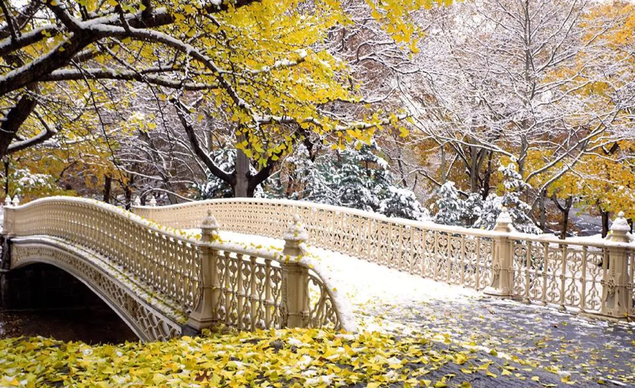 Galería de foto 30/01/2015