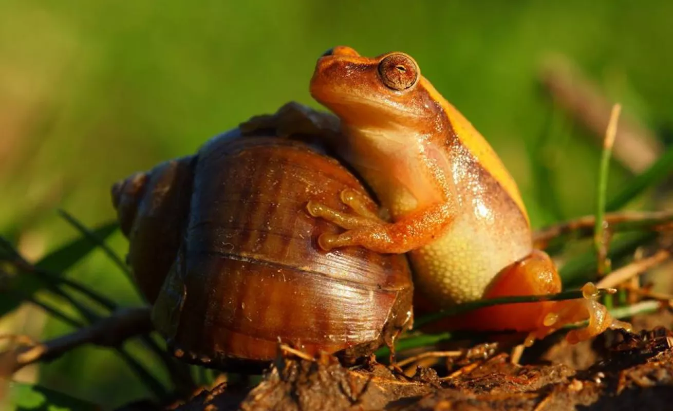 Galería de foto 30/01/2015