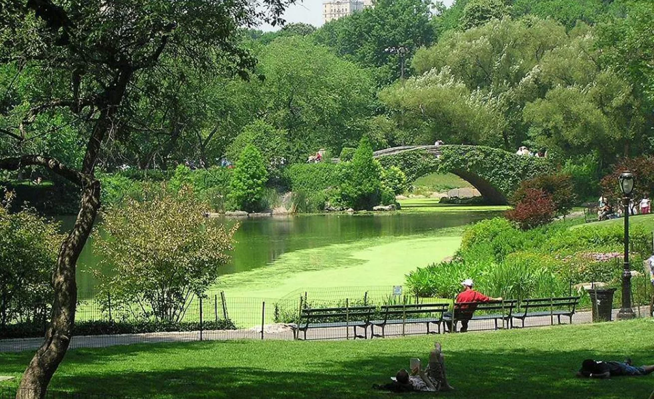 Galería de foto 30/01/2015