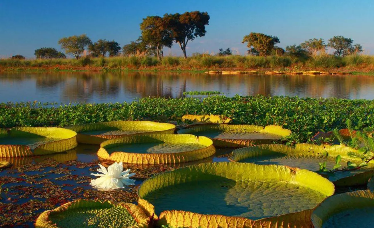 Galería de foto 30/01/2015