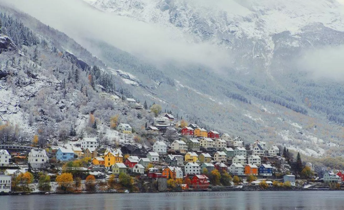 Galería de foto 30/01/2015