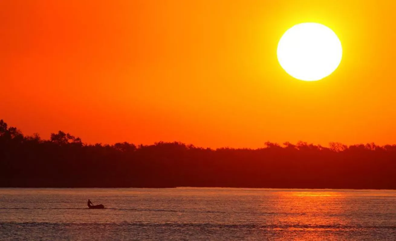 Galería de foto 30/01/2015