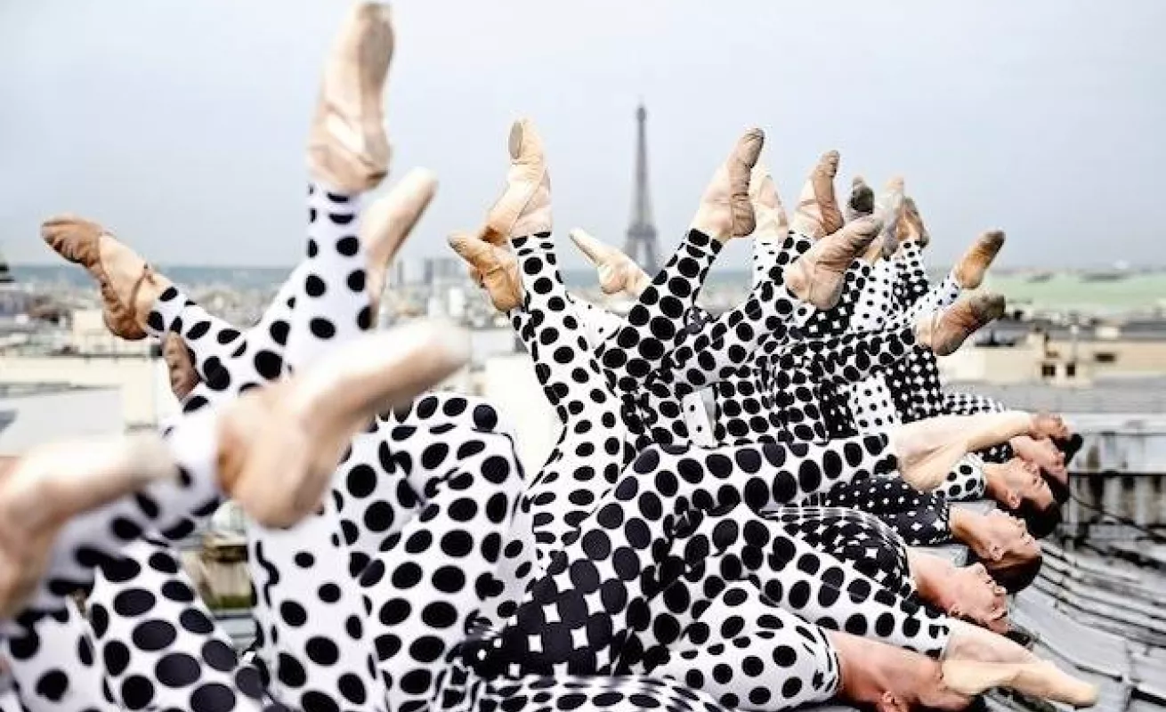 Galería de foto 30/01/2015