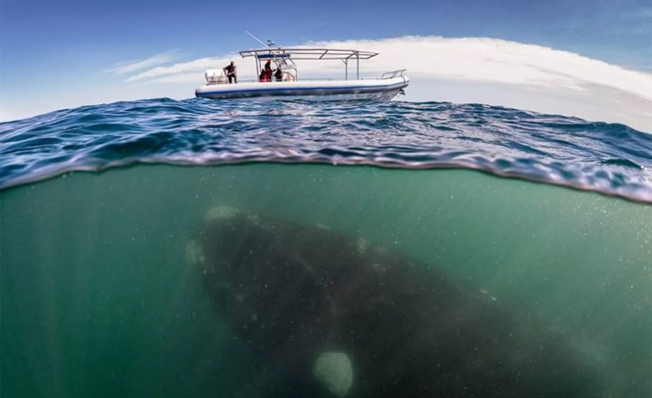 Galería de fotos 03/02/2015