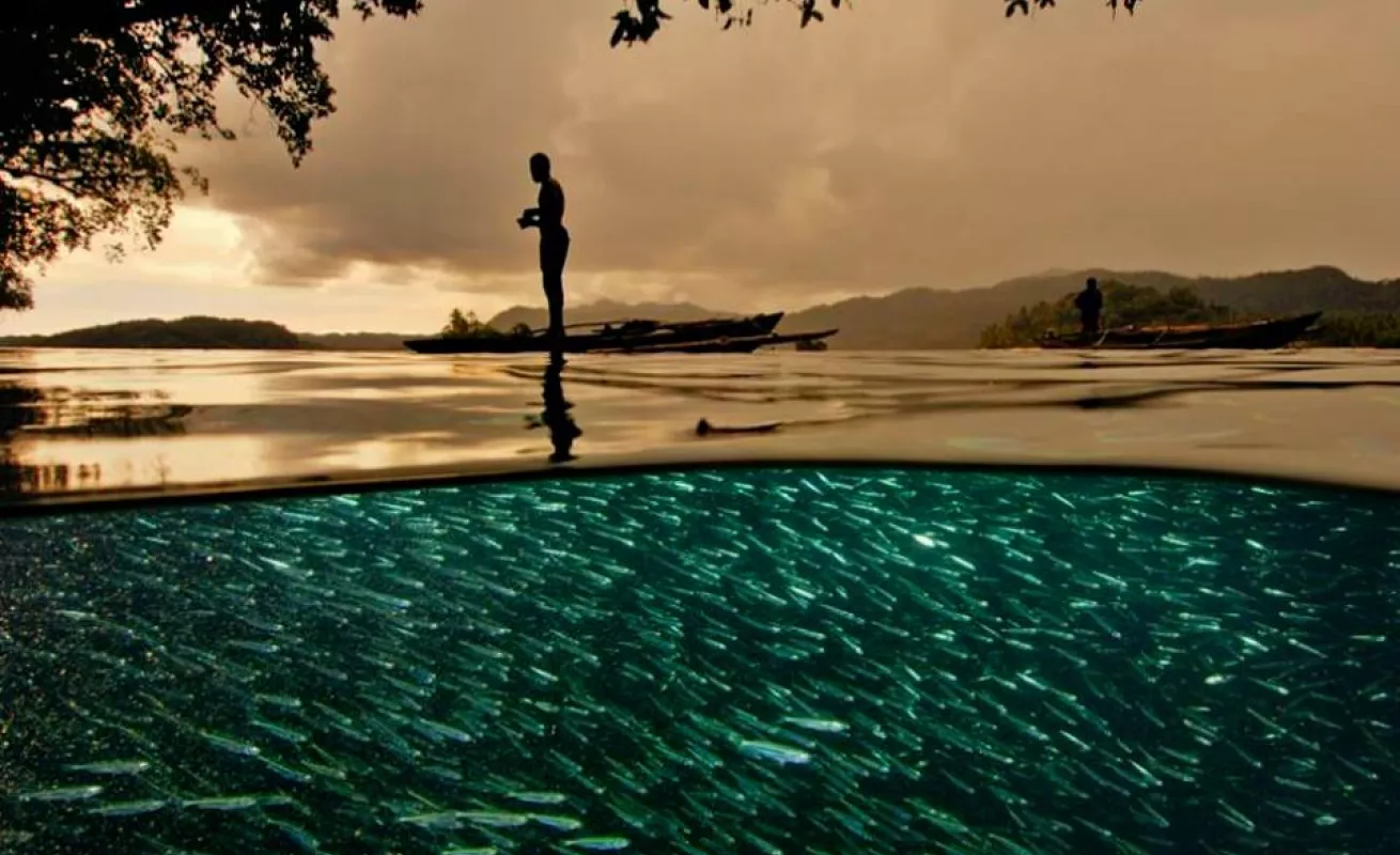 Galería de fotos 03/02/2015