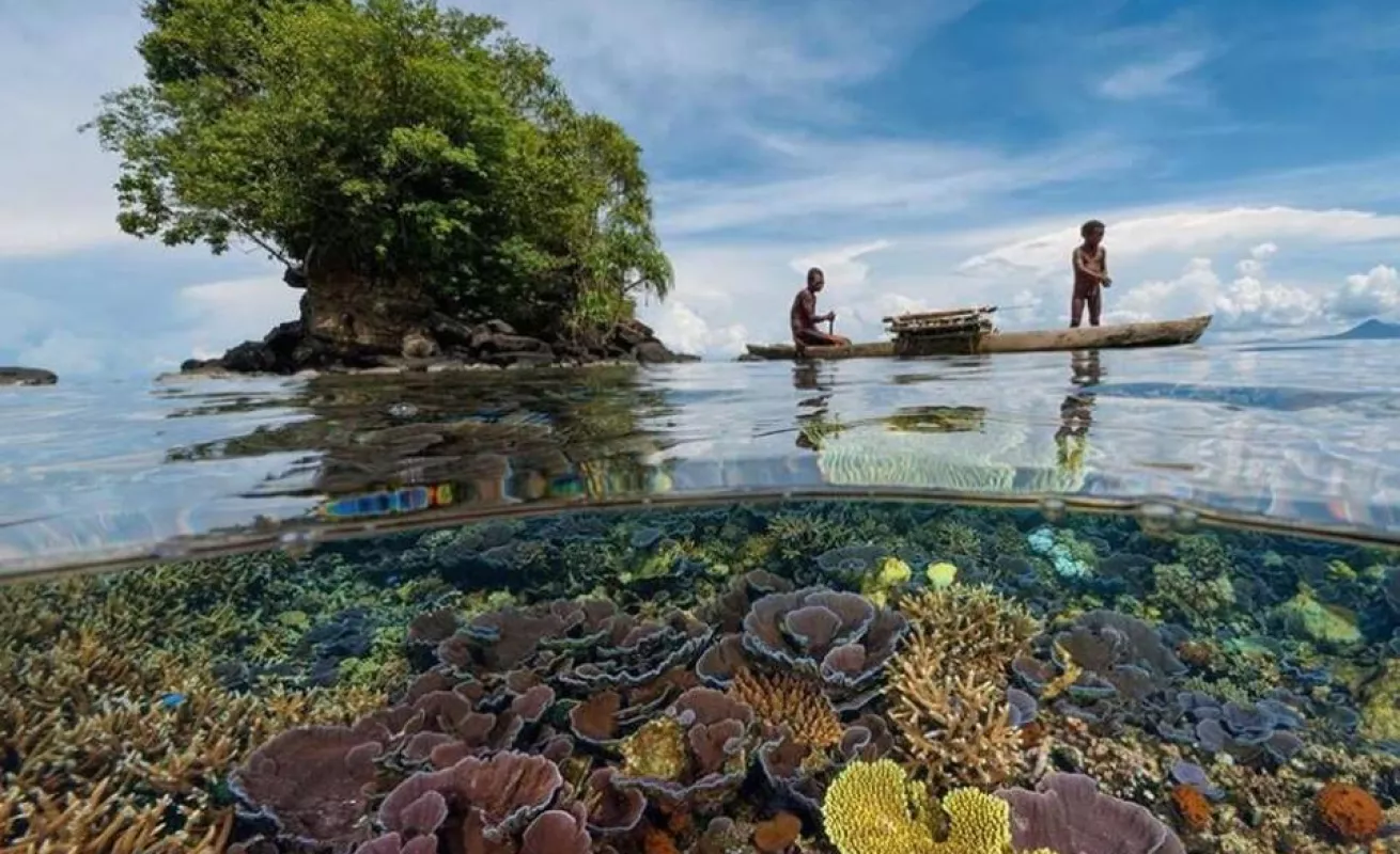 Galería de fotos 03/02/2015