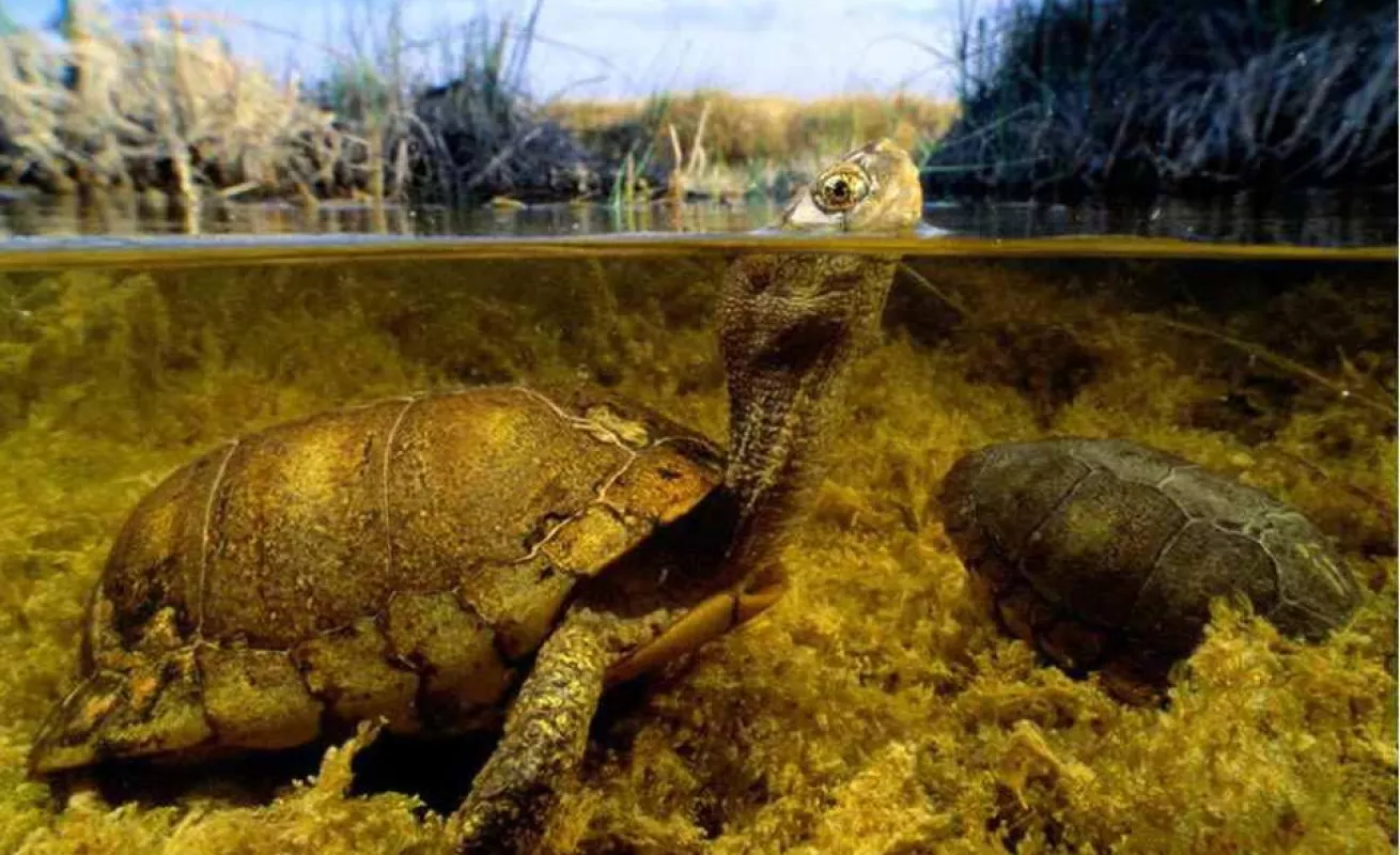 Galería de fotos 03/02/2015