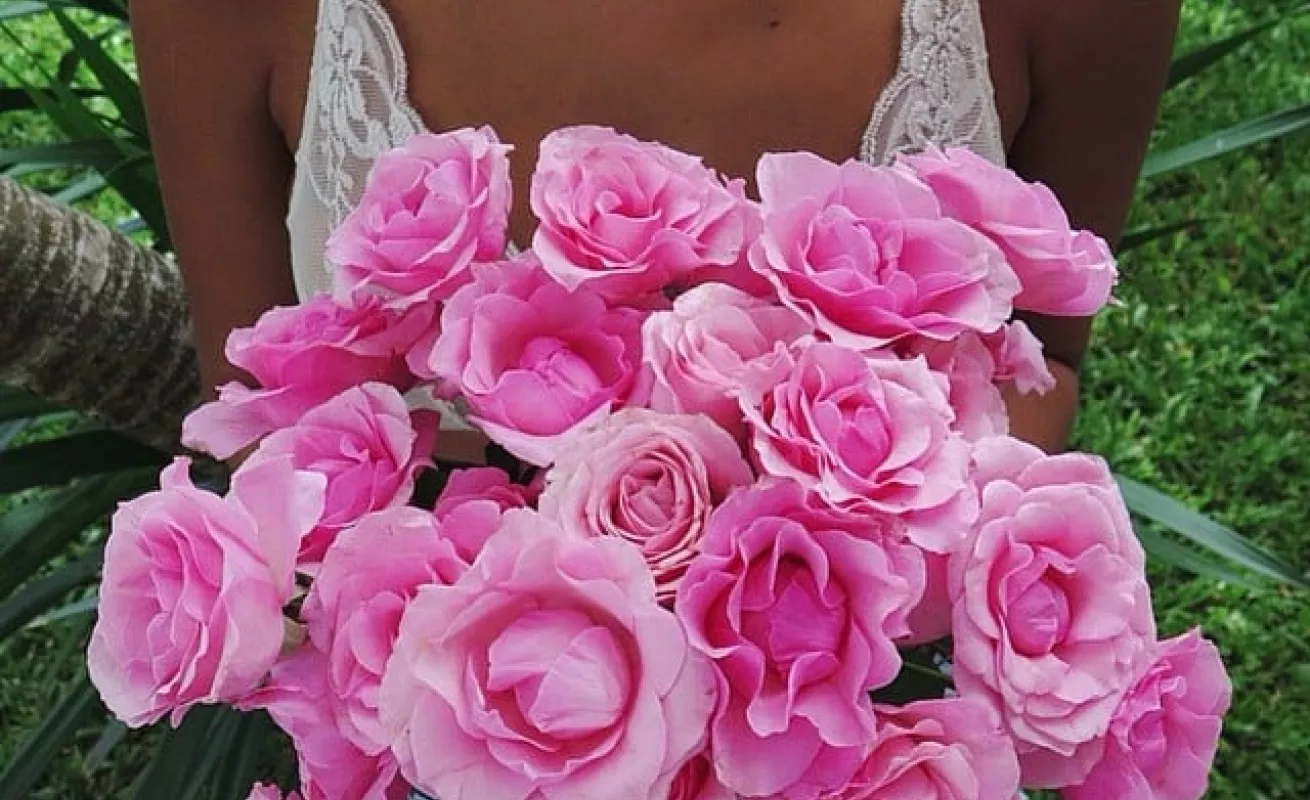 Galería de fotos 03/02/2015