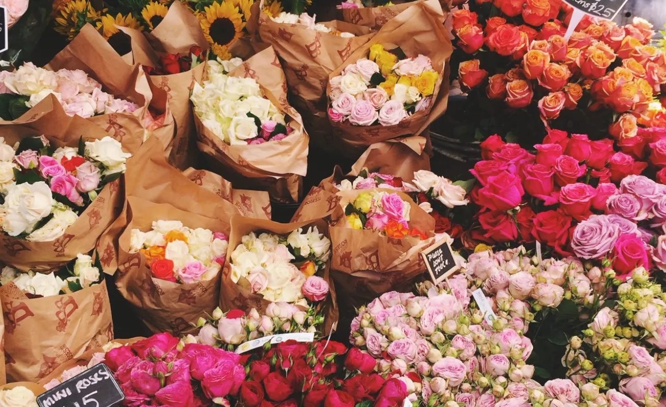 Galería de fotos 03/02/2015