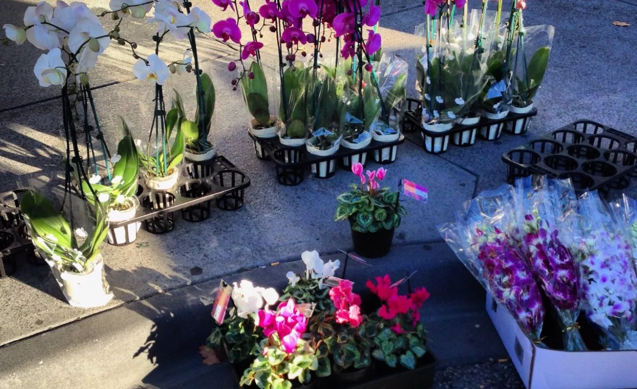 Galería de fotos 09/02/2015