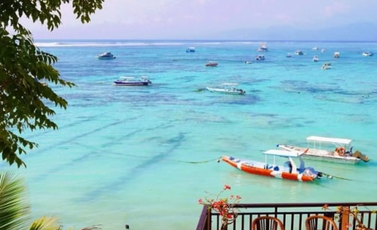 Galería de fotos 09/02/2015