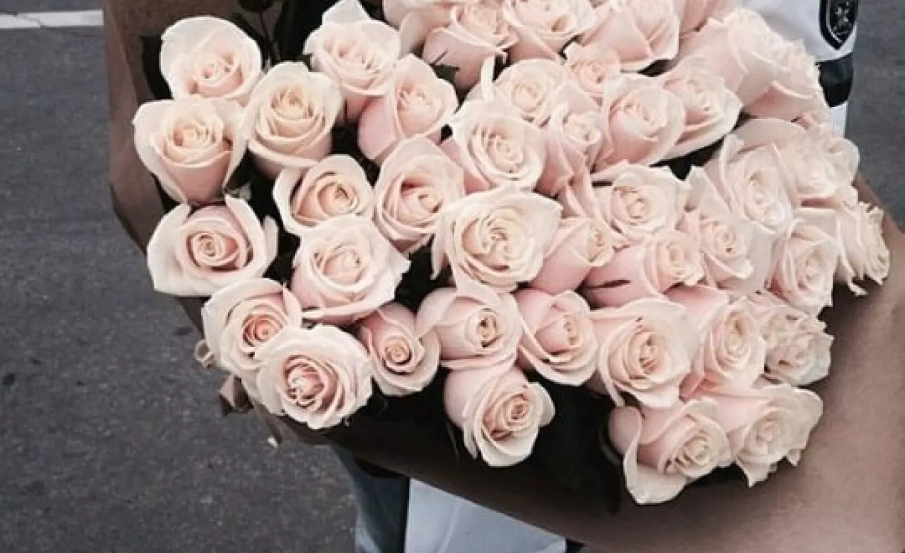 Galería de fotos 09/02/2015