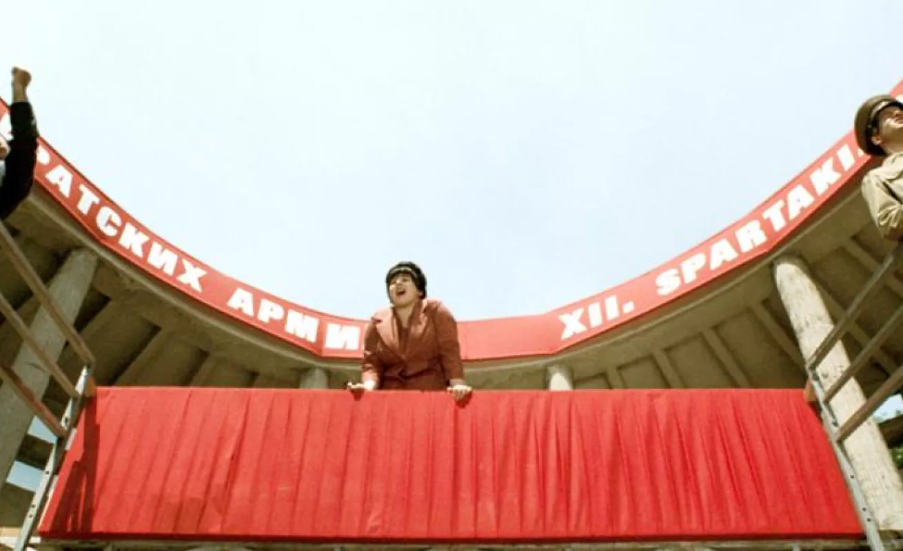 Galería de Taxidermia 10/02/2015