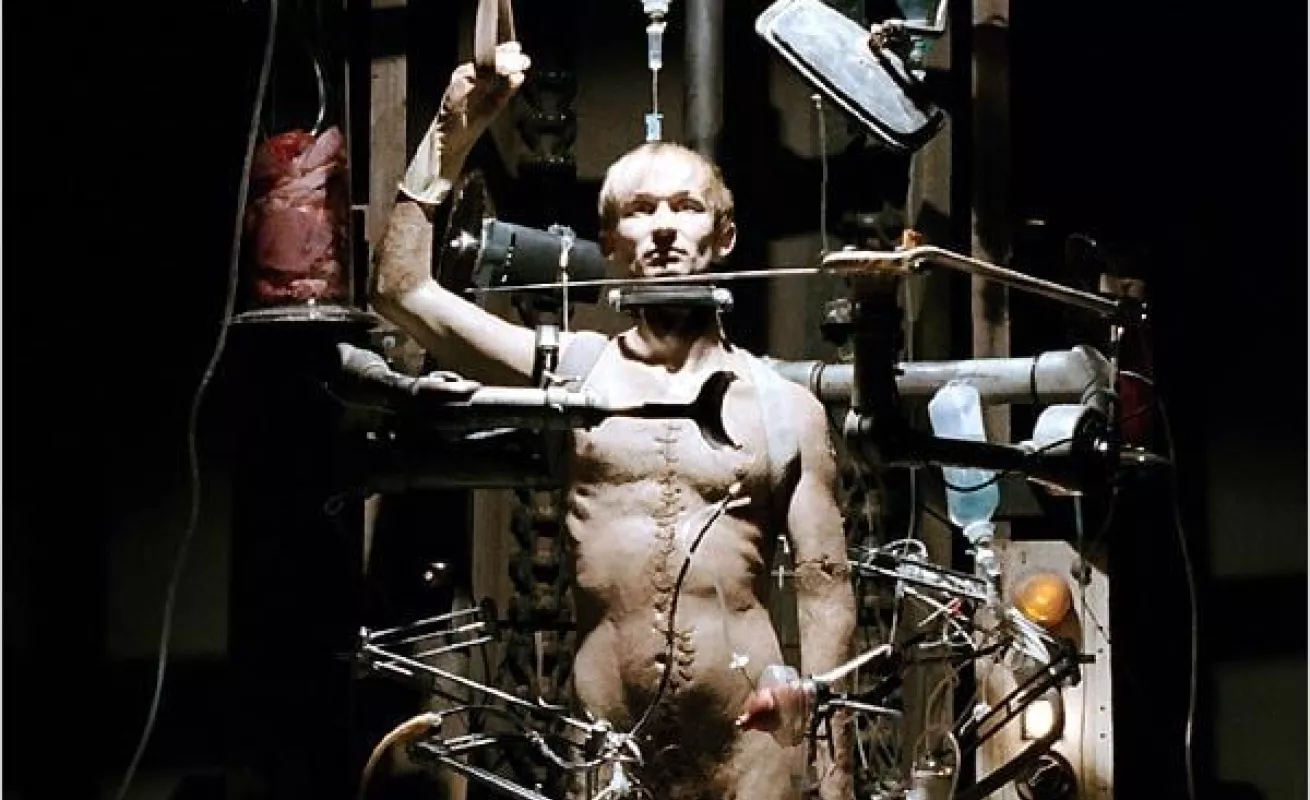 Galería de Taxidermia 10/02/2015