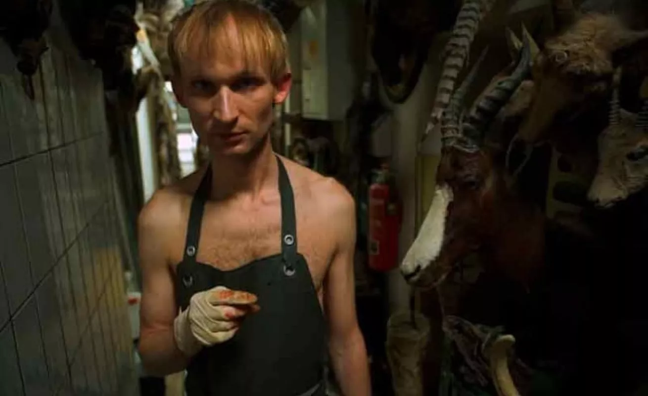 Galería de Taxidermia 10/02/2015