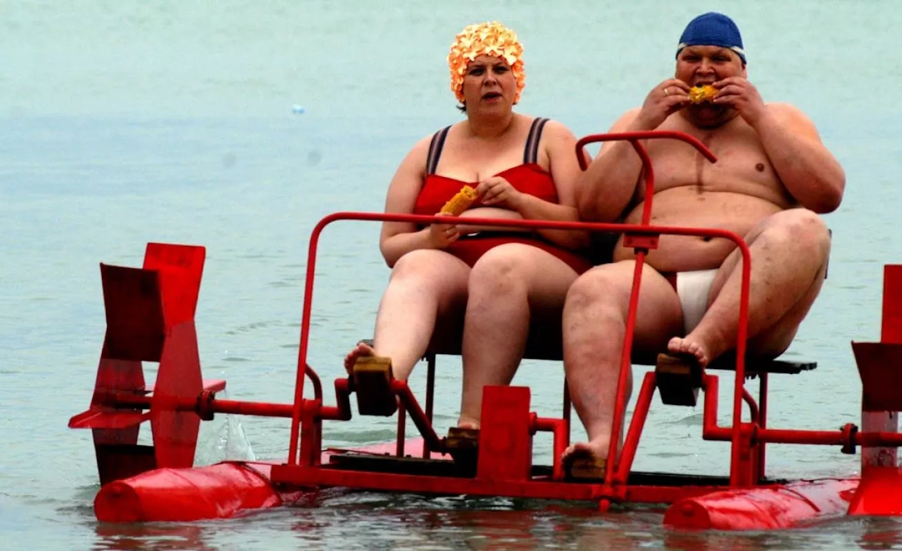 Galería de Taxidermia 10/02/2015